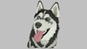 design logo and embroidery digitizing