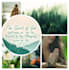 create a gorgeous mood board for you