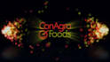 create energetic particle logo and text intro animation