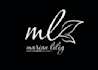 design a professional logo design
