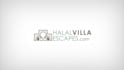 make a professional logo animation intro