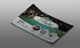 design an amazing flyer and brochure