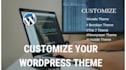 customize any wordpress theme, fix wp bugs, errors, and issues