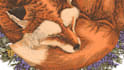 create illustration in line art or engraving style