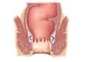 design medical and scientific illustration