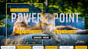 design a business powerpoint presentation in 24 hours