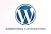 update, maintain and customize your wordpress website