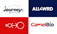 design a custom minimalistic wordmark or lettermark logo