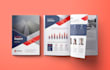 design a professional brochure or flyer