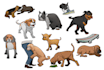 create a custom illustrations and clip art