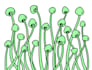 create a crisp and cool animated gif