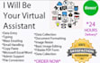 provide you data entry services as a virtual assistant