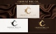 design a professional hair extension logo