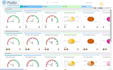 create an informative and analytical  KPI dashboard in podio