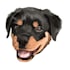 draw high quality vector art for your pet