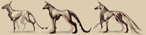 create character or creature concept