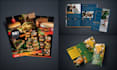 do professional flyer, bifold, trifold brochure design