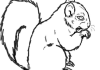 draw any animal you request