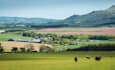 do the agriculture related task, projects, problems and plans professionally