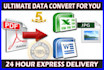 do professional data convert and data entry expert