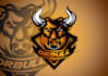 create a professional and eye catching mascot logo