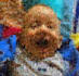 create extraordinary picture mosaic for you