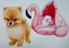 draw watercolor cute animals and cards