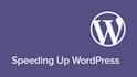 speedup, optimize your wordpress website