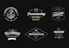 design a cool vintage hipster or retro logo
