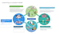make professional, unique and modern infographic design