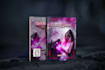 create a beautiful book cover, book design and cover design