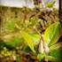 edit your photos to your requirments
