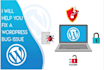 create or develop wordpress theme