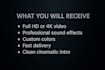 create a professional 3d logo animation intro I cinematic reveal