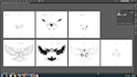 do color separations in PSD and vector