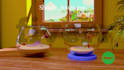 3d song animation and content creation for kids