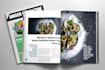 design a professional magazine