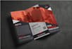design amazing bifold and trifold brochure