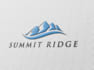 do quick and original logo design with unlimited revisions