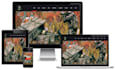 create gaming website professionally