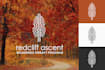design a minimalist logo that will help you build your brand identity