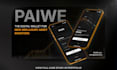 create an impressive powerpoint and canva presentation