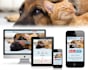 design modern creative responsive website