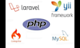 create business and ecommerce websites in laravel, codeigniter, and PHP
