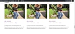 wordpress website developer with custom coding