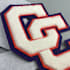 do chenille embroidery digitizing into dst,pes,hus,cnd,vp3