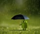 convert website into android app from scratch