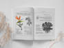design and illustrate an article