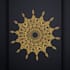 create a beautiful mandala design