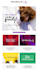 design editable mailchimp newsletter template